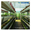 Agriculture DWC Vertical PVC Systèmes de croissance hydroponiques